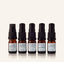 COSMETIC TRAVEL KIT